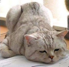 Изображение из статьи: Если отпуск прошел, но не отпустило