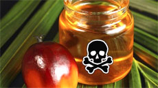 Изображение из статьи: На пальмовое масло собираются ввести акциз