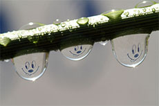 Изображение из статьи: Оптимистов ждет успех!