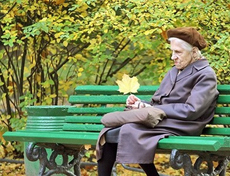 Изображение из статьи: Пенсионерам на пряники