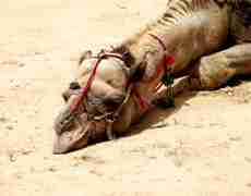 Изображение из статьи: Пофигисты и трудоголики – 50х50