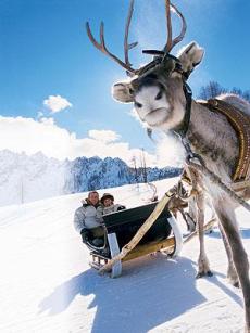 Изображение из статьи: Снег, озера, водка. Что думают о Финляндии пользователи Рунета?