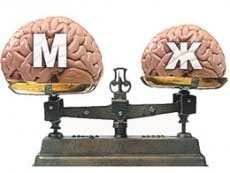 Изображение из статьи: Чем отличается мозг мужчины и женщины?