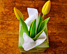 Изображение из статьи: Чихаем по сезону